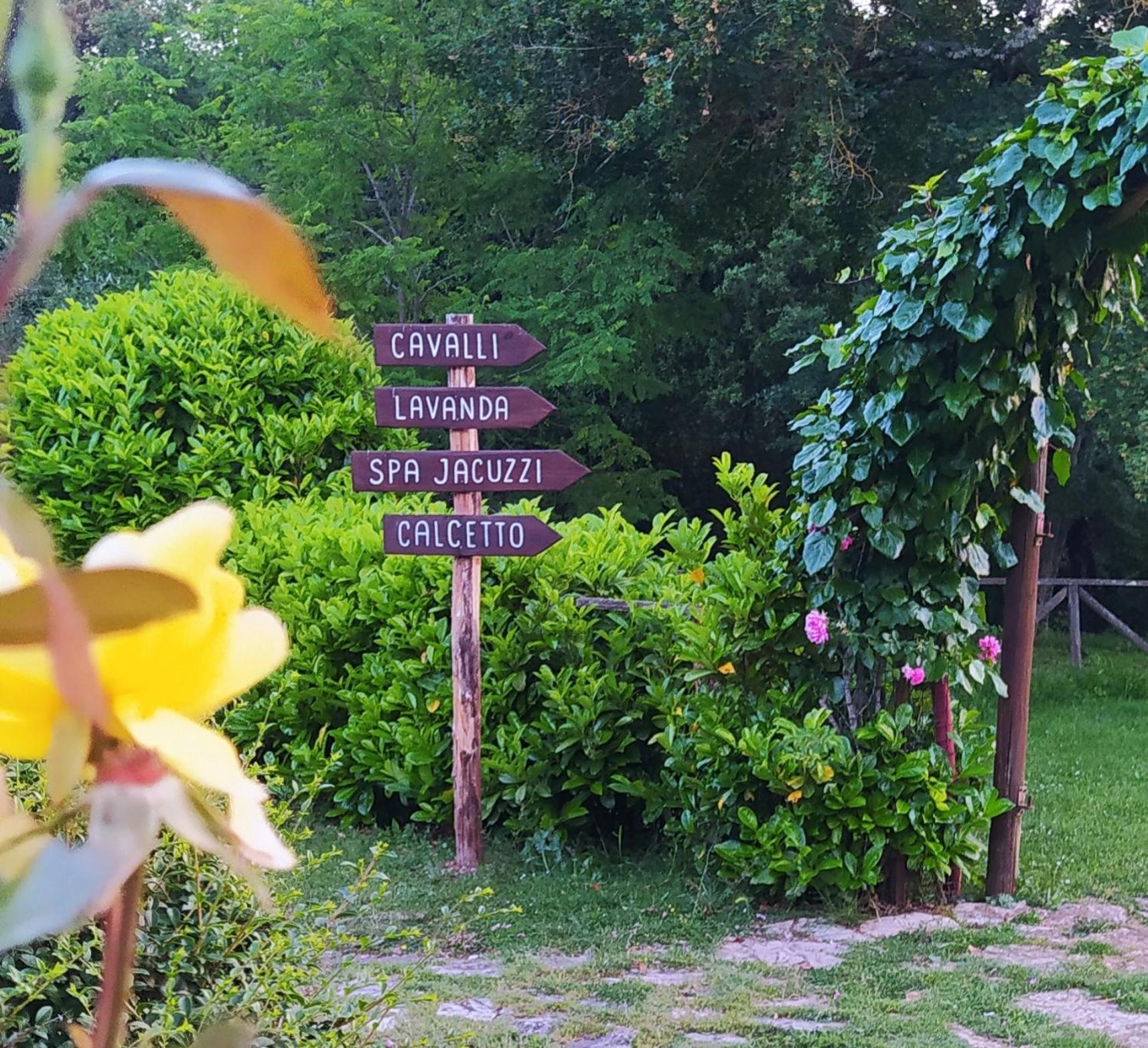 Agriturismo Podere Poggiarone Rapolano Terme Exterior foto